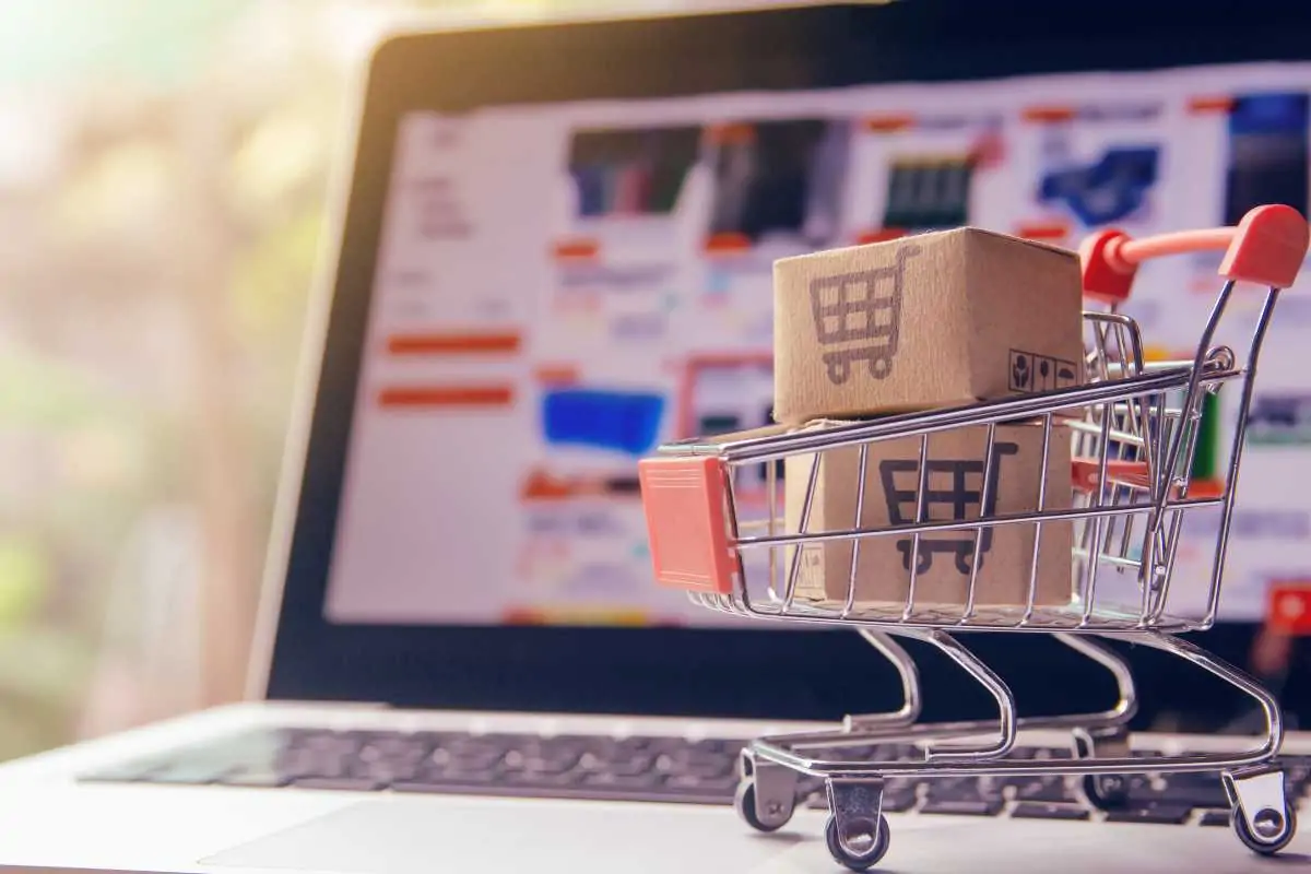 trafego-pago-para-dropshipping